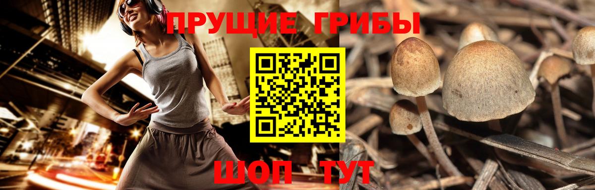 Надым  Галлюциногенные грибы мицелий  Вход с VPN 